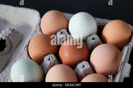 Bauernhof frische Eier im Karton auf schwarzem Hintergrund. Stockfoto