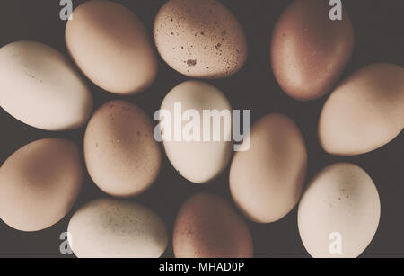 Bauernhof frischen Käfig frei huhn eier mit Braun und Sepia für Vintage Style essen. Stockfoto