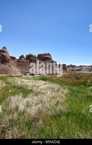 Wiese Gras und Pinacles bei Badlands National Park in South Dakota. Stockfoto