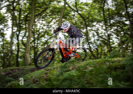 Ein Mann reitet einen elektrischen Pedal e-Bike mit einer Drehzahl, die durch die Wälder zu unterstützen. Stockfoto