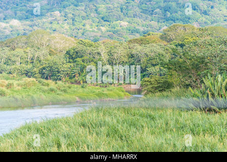 Fluss in Costa Rica im Regenwald Stockfoto