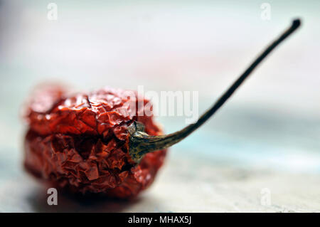 Carolina reaper Stockfoto