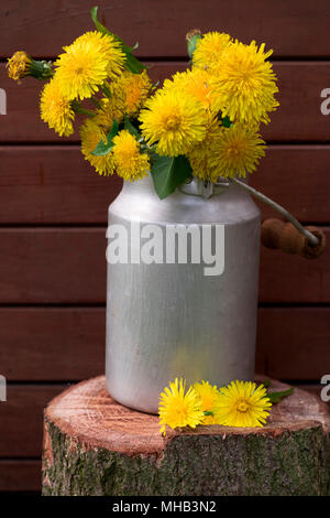 Löwenzahn in einer Vase auf einem hölzernen Hintergrund. Immer noch leben. Stockfoto