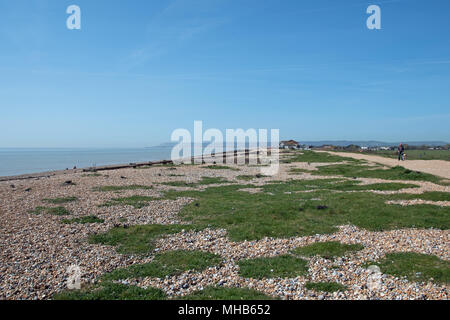 Die unberührten Sandstrand zwischen Normannen Bucht und Pevensey, Sussex, UK Stockfoto