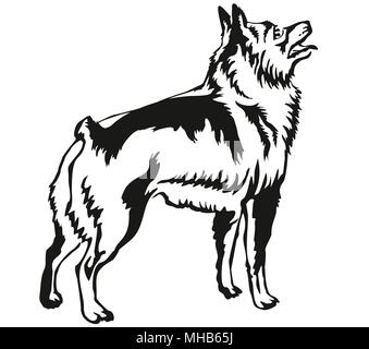 Dekorative Portrait von ständigen im Profil Schipperke, Vektor isoliert Abbildung in schwarz auf weißem Hintergrund Stock Vektor