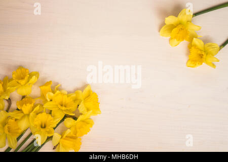 Mathers Tag. Gelbe Blumen auf weißem Holz- Hintergrund. Für Text platzieren. Stockfoto