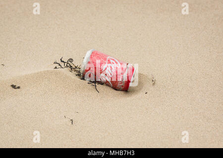 Ein Aluminium Coca Cola Getränk kann in Algen gewaschen liegen Oben am Harlech Beach ein Beispiel für den Müll Das Meer rund um Großbritannien Stockfoto