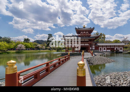 Schöne Sicht auf die Byodo-In Tempel in Uji, Kyoto, Japan an einem sonnigen Frühlingstag Stockfoto