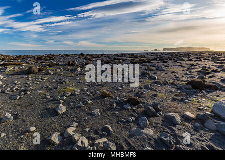 Reynishverfisvegur, reynisfjara Black Sand Beach in der Nähe von Vik Dorf, Island Stockfoto