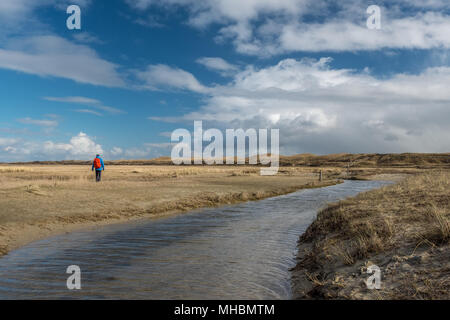 Einsamer Wanderer in De Slufter, einem Naturschutzgebiet in Texel, Niederlande. Stockfoto