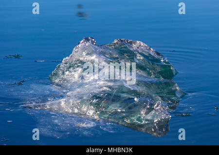 Schwimmende Eisberge in der Gletscherlagune Jokullsarlon, South Island Stockfoto