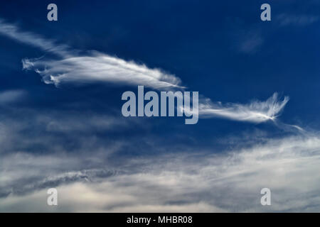 Wind zerzauste Feder Wolken (Cirrus) vor einem blauen Himmel, Nordrhein-Westfalen, Deutschland Stockfoto