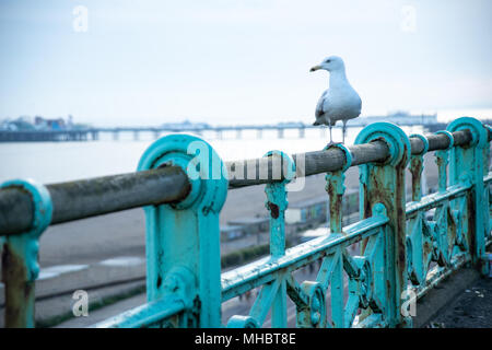 In der Nähe von hellen Lichter an Brighton Pier in East Sussex, England Stockfoto