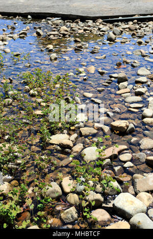 Wasser und Steine Stockfoto