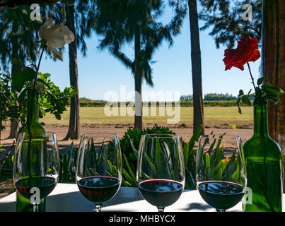 Weinprobe Gläser, außerhalb der Vorhalle, bei Laura Hartwig Winery, Santa Cruz Wein Region, Colchagua Valley, Chile, Südamerika Stockfoto