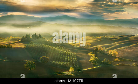 Das Belvedere und toskanische Landschaft bei Sonnenaufgang in der Nähe von San Quirico d ' Orcia, Toskana Italien Stockfoto