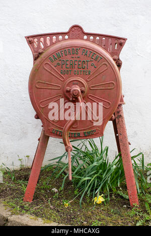 Restaurierten alten Bamfords perfekte Root Cutter als Gartendekoration. Antike landwirtschaftliche Maschinen. Stockfoto