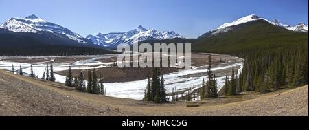 Scenic Frühling Panorama Landschaft von howse Fluss Wohnungen und Fernen schneebedeckten Gipfeln der Rocky Mountains im Banff National Park, kanadische Rockies Stockfoto