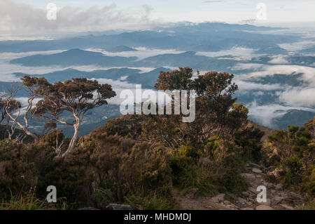 Früh am Morgen Blick aus dem Laban Rata Resthouse unterhalb des Gipfels des Mount Kinabalu, Sabah, Malaysia Borneo Stockfoto