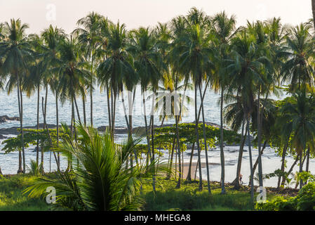 Playa Hermosa de Costa Rica - Pazifikküste Stockfoto