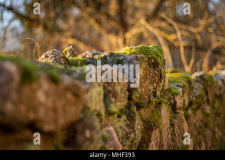 Friedhof Döllersheim Döllersheim (Friedhof), Waldviertel (Waldviertel), Österreich Stockfoto