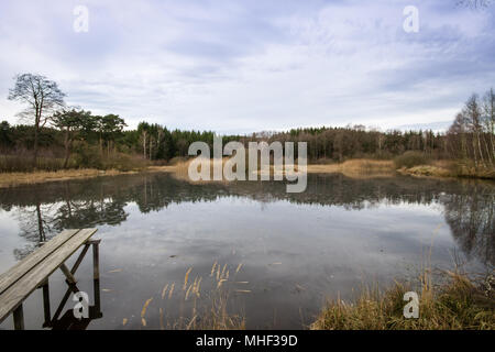 Ziegelteich, Reinprechts, Weitra - stewpond in Niederösterreich, Europa Stockfoto