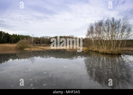 Ziegelteich, Reinprechts, Weitra - stewpond in Niederösterreich, Europa Stockfoto