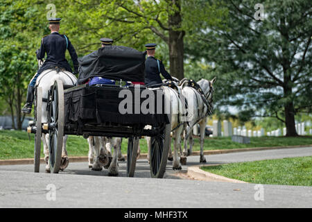 WASHINGTON D.C., USA, 2. Mai 2014 - US Army marine Beerdigung Friedhof von Arlington: Sarg auf dem Pferd Trainer Stockfoto