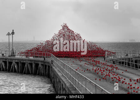 Keramik Poppy tour. Shoeburyness Welle der Mohnblumen heraus zum Meer gehen. In Schwarzweiß mit Roter Mohn Stockfoto