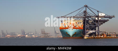 Maersk Container Schiff im Dock laden in Felixstowe Port Stockfoto