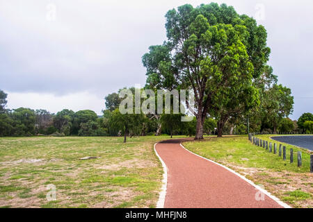 Yellagonga gemeinsamen Spaziergang um den Lake Joondalup Wanneroo W. Australien Stockfoto