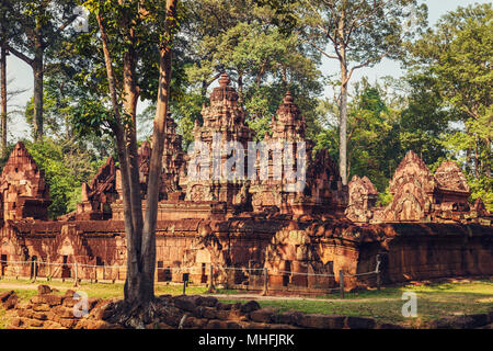 Banteay Srey - einzigartige Tempel aus rosa Sandstein. Angkor, Siem Reap, Kambodscha. Stockfoto