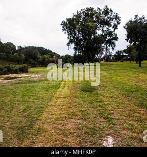 Yellagonga gemeinsamen Spaziergang um den Lake Joondalup Wanneroo W. Australien Stockfoto