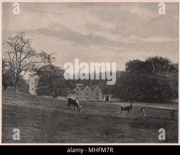 Knole Park liegt in der Hop der Grafschaft Kent gelegen, ganz in der Nähe der malerischen Altstadt von Sevenoaks Stockfoto