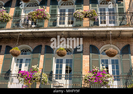 Hängende Pflanzgefäße und Balkonkästen hängen von einem schmiedeeisernen Balkon im French Quarter von New Orleans, Louisiana Stockfoto