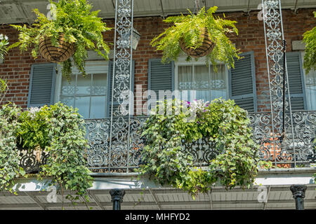 Hängende Pflanzgefäße und Balkonkästen hängen von einem schmiedeeisernen Balkon im French Quarter von New Orleans, Louisiana Stockfoto