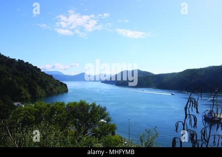 Picton, mit Blick in Richtung Queen Charlotte Sound Stockfoto