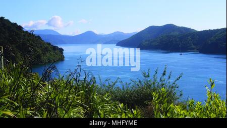 Picton, mit Blick in Richtung Queen Charlotte Sound Stockfoto