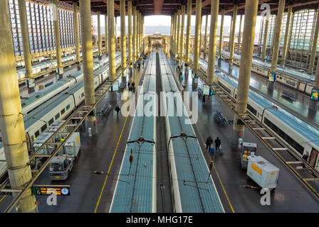 Plattformen, Puerta de Atocha, Hauptbahnhof, Madrid, Spanien Stockfoto