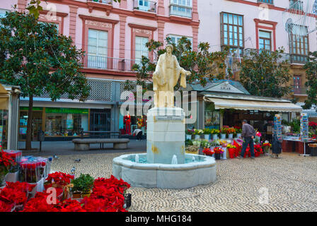 Plaza De Las Flores, Cadiz, Andalusien, Spanien Stockfoto