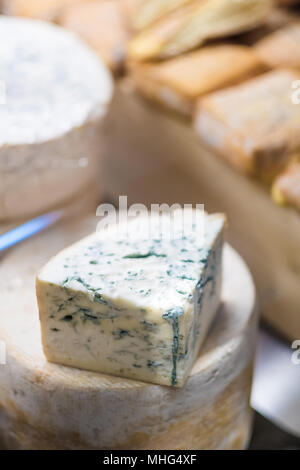 Auswahl von verschiedenen köstlichen Käse in der Anzeige eines cheesemonger Stockfoto