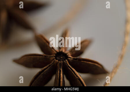 Anis baum Samen als Gewürze auf einem weißen Hintergrund Stockfoto