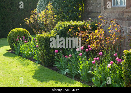 Felley Priory Gardens, Felley Priory, Underwood, Nottinghamshire, Großbritannien. Feder, April 2018. Stockfoto