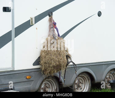 Haynet auf einem Pferd box Stockfoto