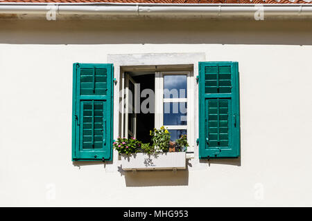Blumen in Blüte, in Fenster mit grünen Fensterläden in Kotor Stockfoto