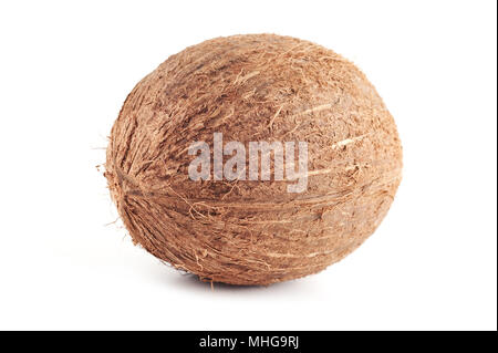 Single Kokos isoliert auf einem weißen Hintergrund. Stockfoto