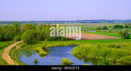 Panoramablick von Feuchtgebieten mit frühen Frühjahr grünes Gras und Holz in der Narew Fluss Wildlife Refuge im Nordosten Polens. Stockfoto
