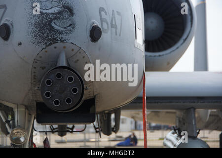 Vorderansicht eines 10 Flugzeug und seine Kanone Stockfoto