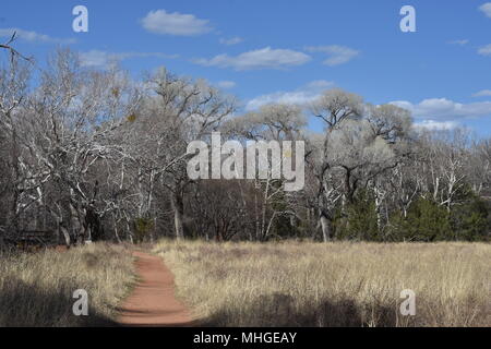 Ein ruhiger Spaziergang durch den Red Rock State Park Stockfoto