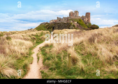 Northumberland Küste Weg und mit Bamburgh Castle und Sanddünen, Bamburgh, Northumberland, England zu Fuß Stockfoto